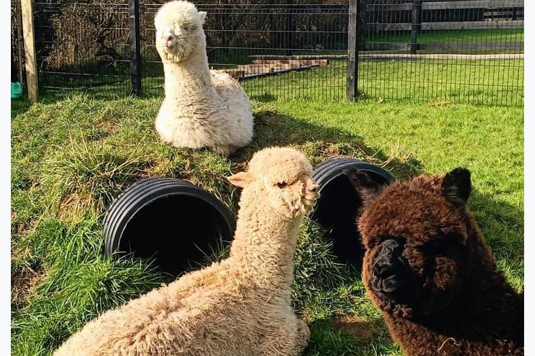 Foto 12 von 34: Ferienwohnung für 2 Personen mit Garten