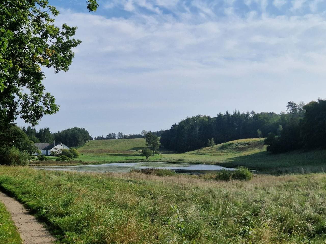 Foto 3 von 41: 4 Personen Ferienhaus in Ebeltoft