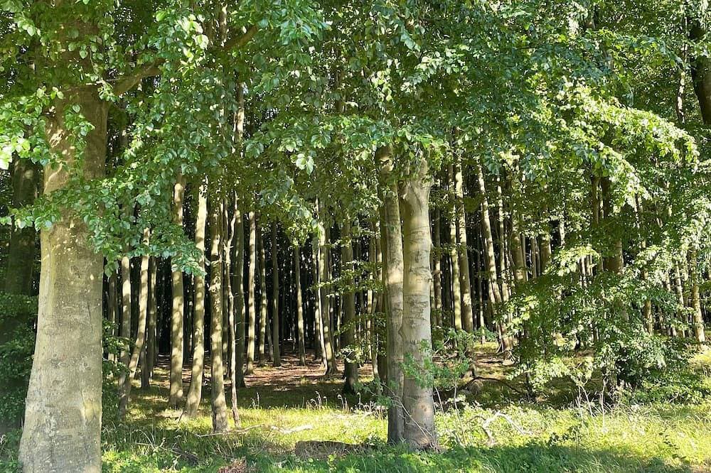 Foto 13 von 15: Ferienzimmer am Waldrand - Ferienzimmer