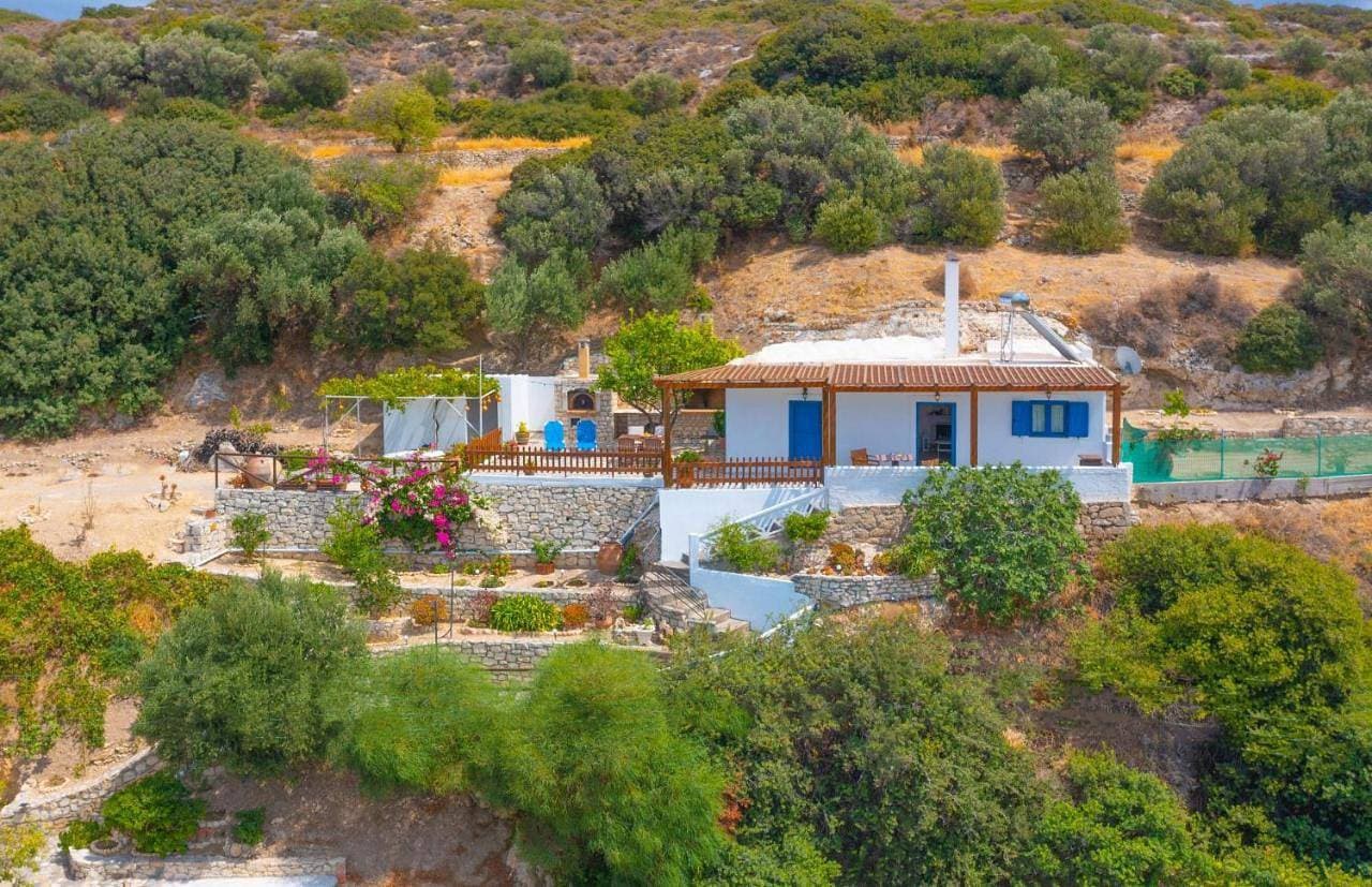 The Rock & The Lemon Tree 1