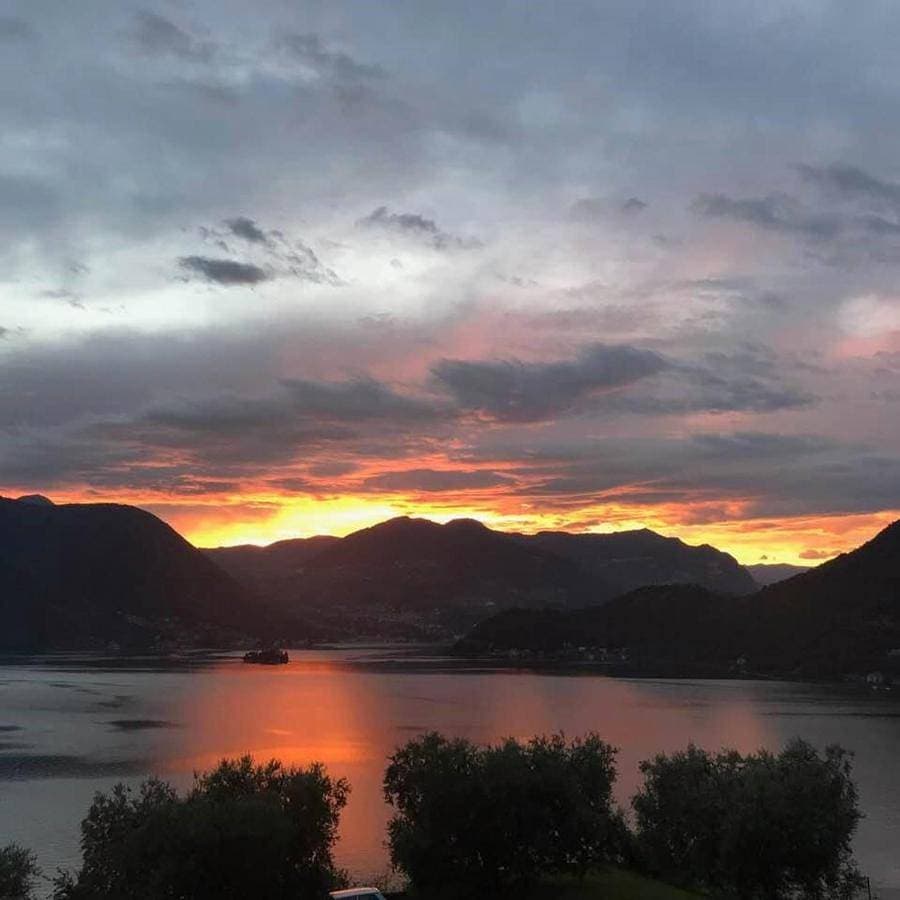 Lake Iseo - Gli ulivi 1 1