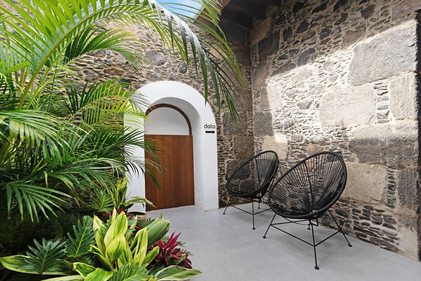 Dalia - Finca La Suerte Grande 1