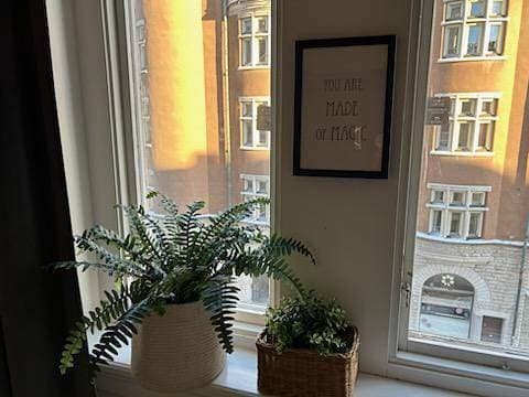 Foto 9 von 14: Ferienwohnung für 3 Personen