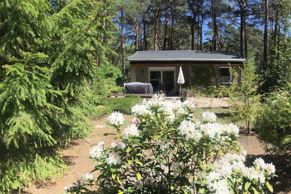 Ferienhaus Wald und Seeidylle nahe Badeseen, Spreewald und Berlin 1