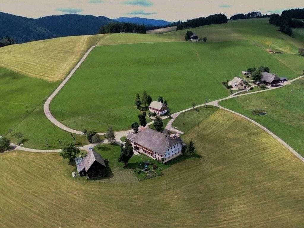 Foto 9 von 25: Ferienwohnung in Breitnau mit Wifi