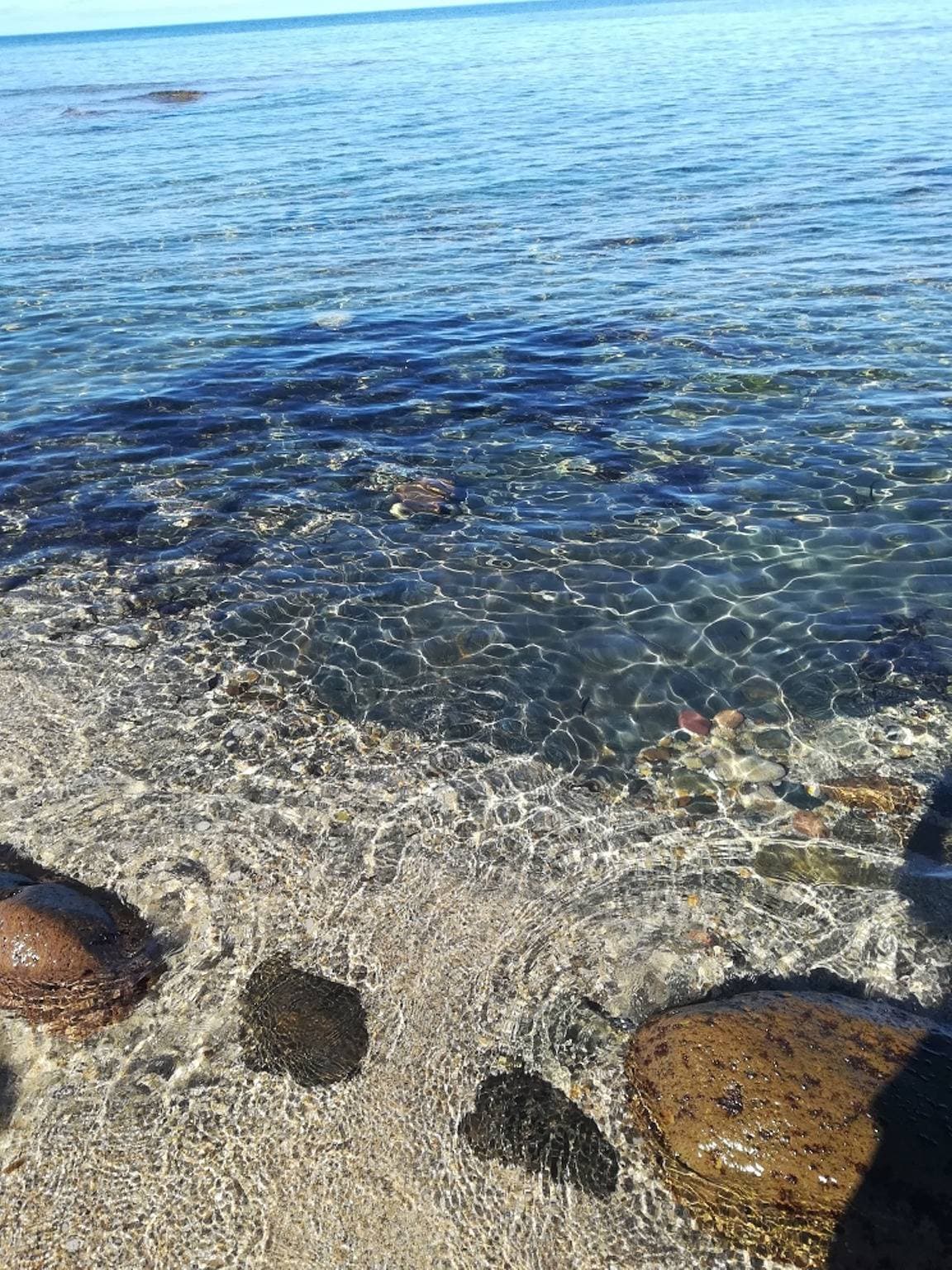 Foto 11 von 22: Affittimoderni Viddalba Bouganville