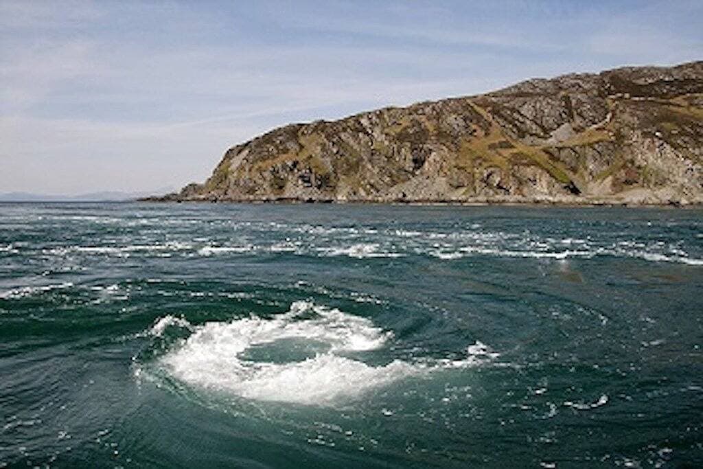 Foto 10 von 26: Wow! Private 3acre Oceanfront Home, whales,eagles,walkable to village/Dog Island