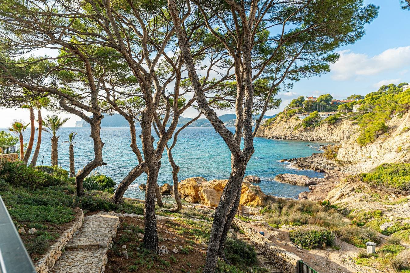 Foto 4 von 38: Villa Rivo - Costa de la Calma by PriorityVillas