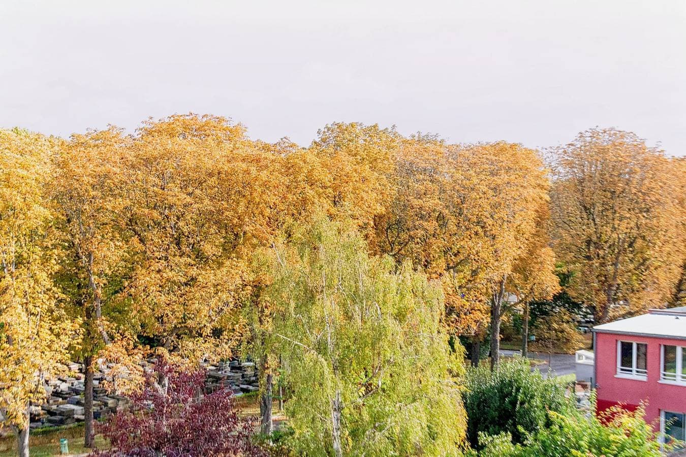 Ferienwohnung 49m² 1