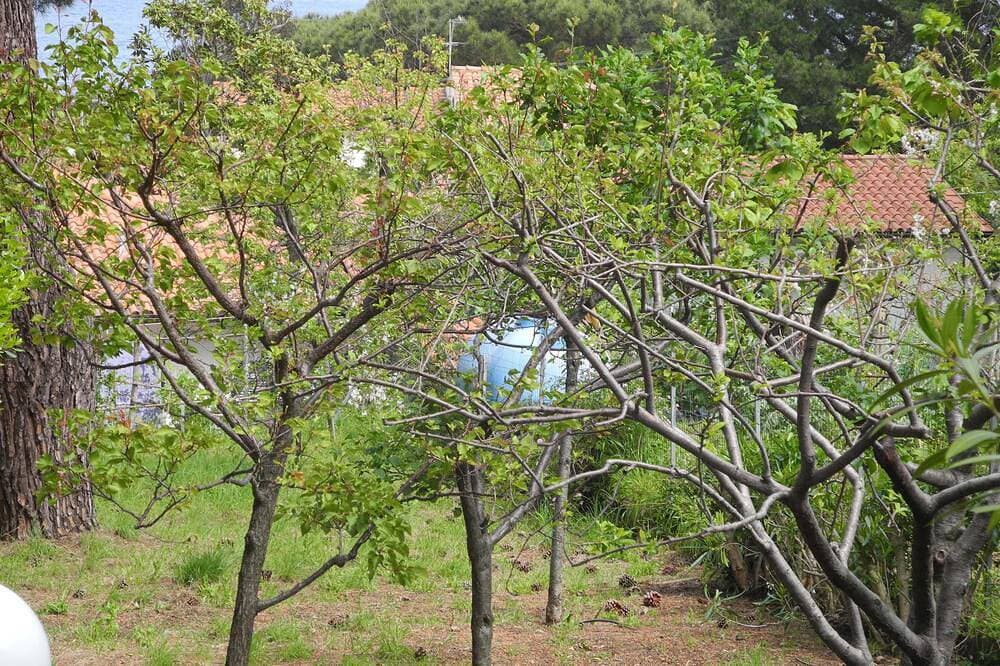 Foto 9 von 25: Grosszügiges Ferienhaus mit Meerblick und Garten in Strandnähe auf Insel Elba