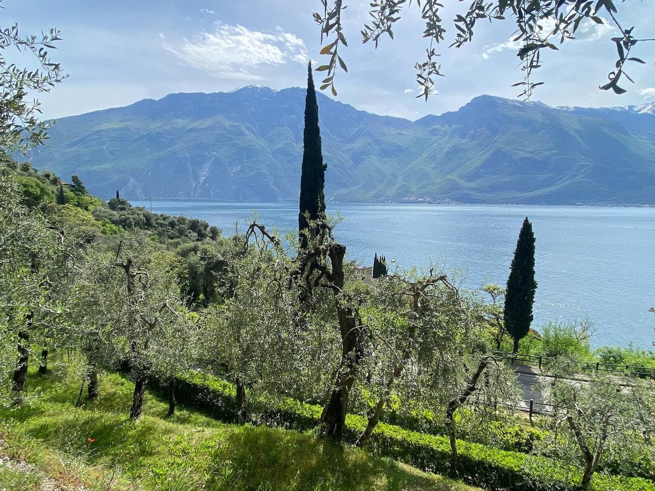 Foto 13 von 19: Villa Gianna in Limone sul Garda
