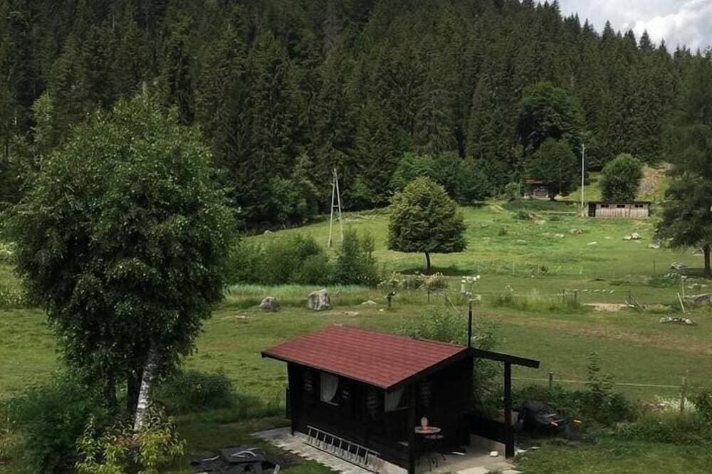 Foto 8 von 28: Ferienwohnung/App. für 2 Gäste mit 30m² in Schluchsee