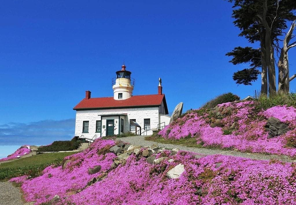 Foto 10 von 35: Lighthouse Point
