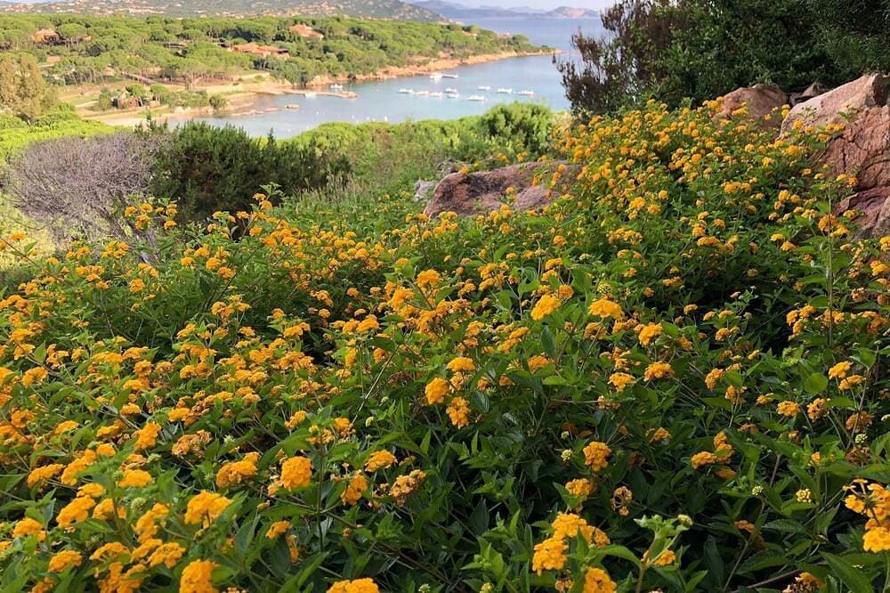 Foto 12 von 30: Muschel Haus Am Meer in Capo Coda Cavallo San Teodoro