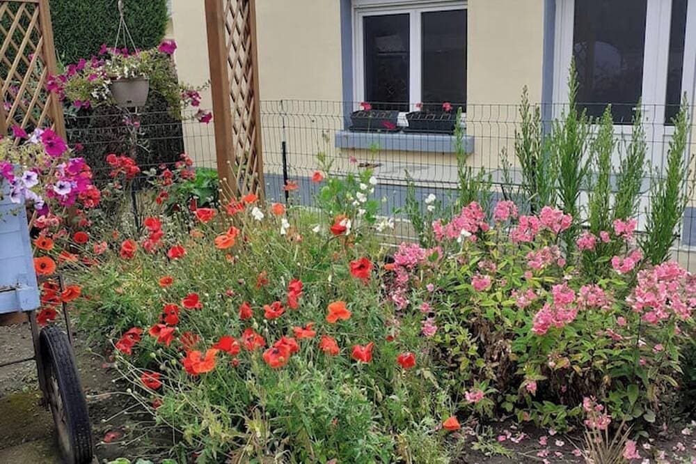 Foto 5 von 10: Homerez - Haus Saint-Blimont, Garten