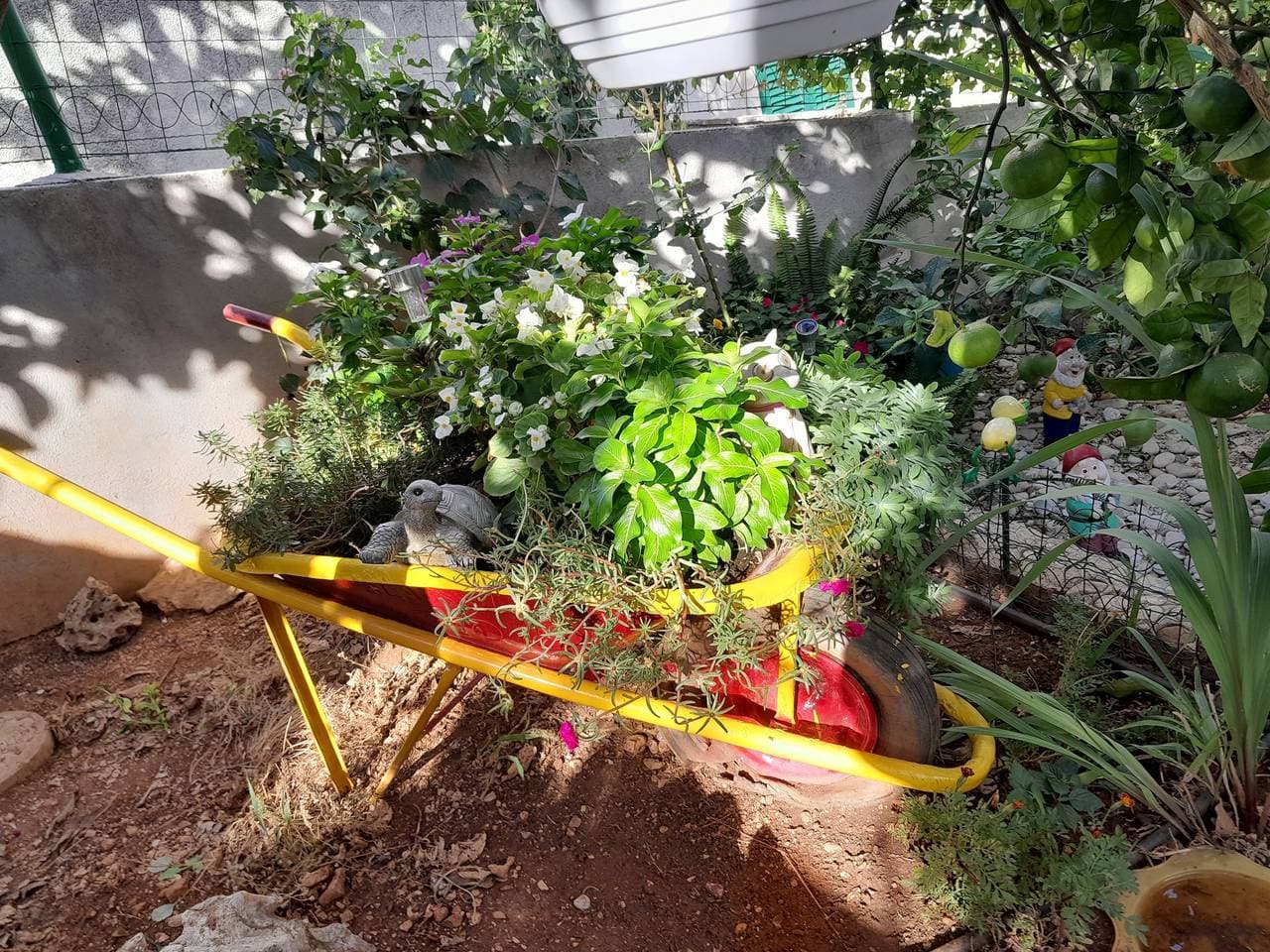 Foto 9 von 36: 1-Zimmer-Ferienwohnung mit Terrasse und Meerblick Postira (Brac) -a