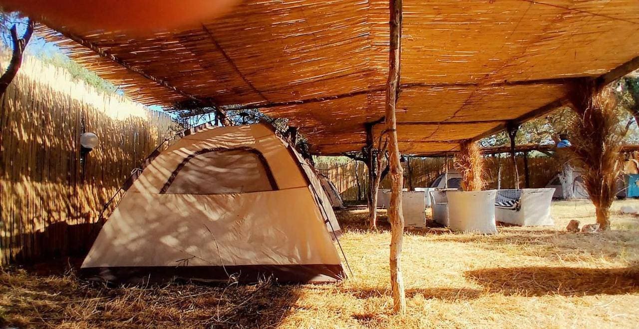 Olive Qeparo Fushe Camping 1