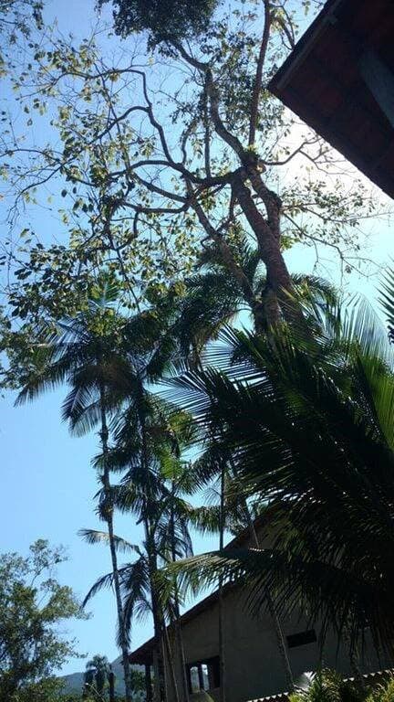 Foto 3 von 11: Suite 2 - Ubatuba Itamambuca Wöchentliche und monatliche Rabatte