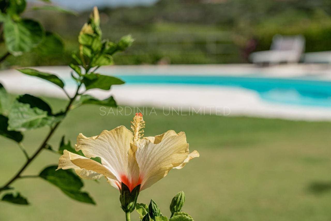 Foto 6 von 53: Villa with Private Pool
