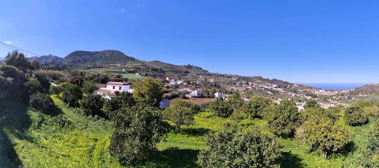 La Casa de Teror 1