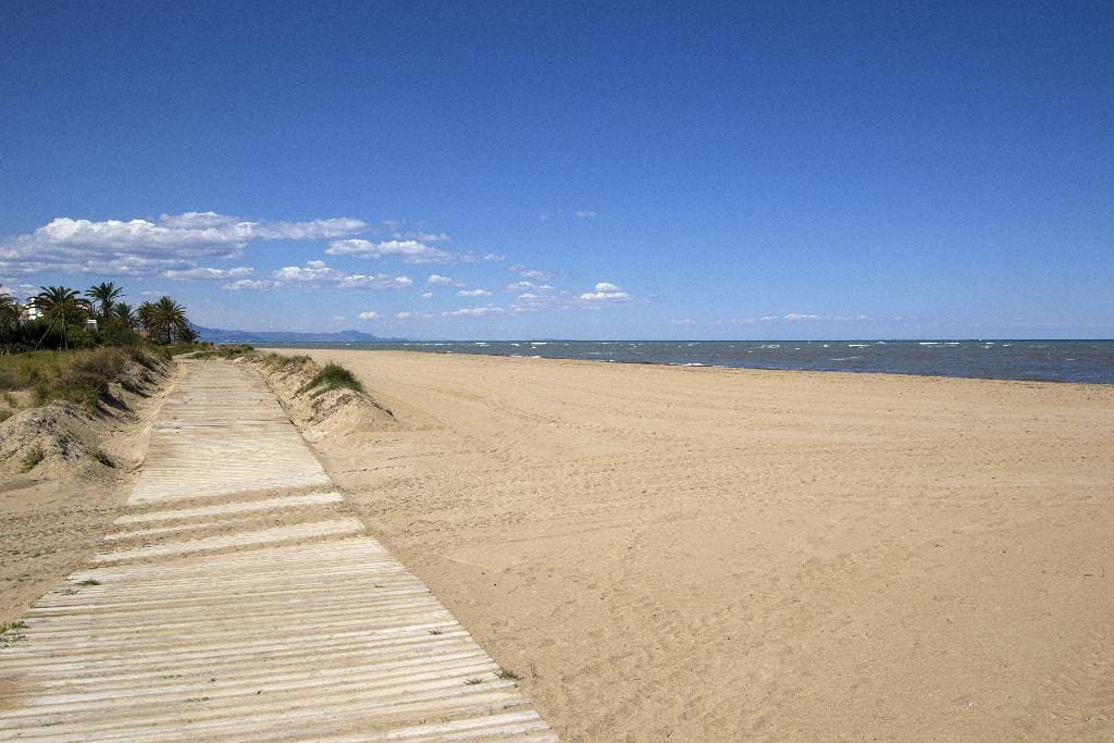 Foto 8 von 22: PlayaSol