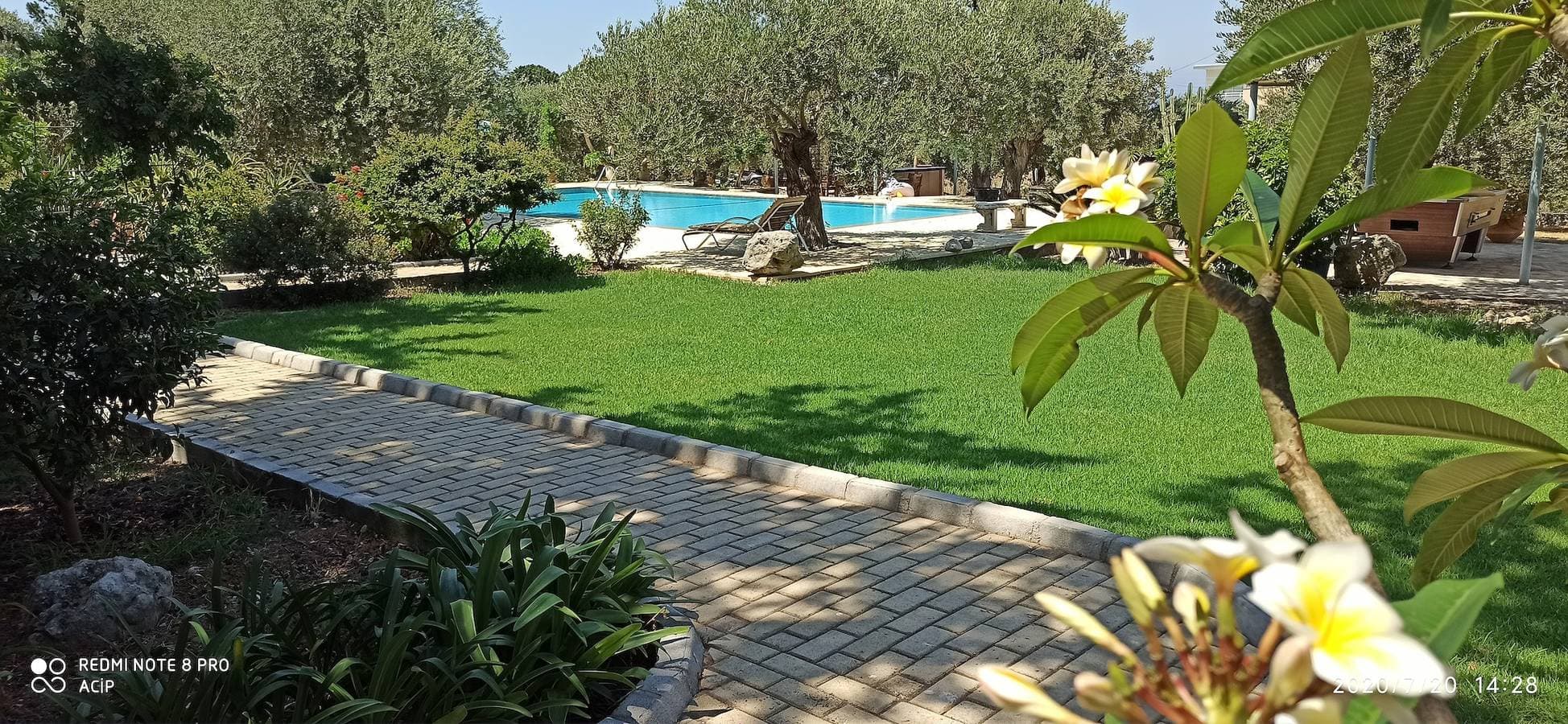 Foto 10 von 16: Ferienwohnung für 2 Personen mit Pool