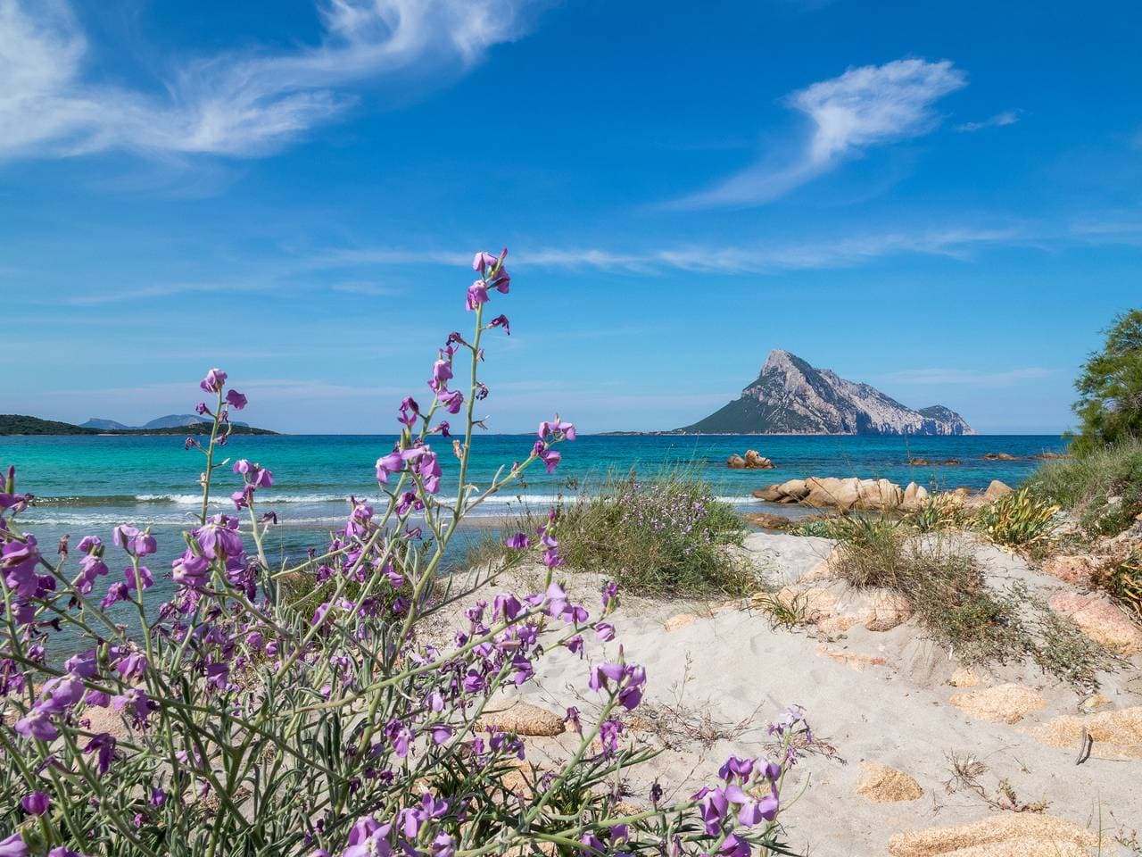 Foto 6 von 29: Myrsine 7D - Designwohnung, Garten zur Bucht Olbia