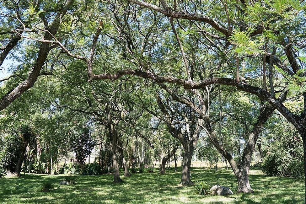 Foto 5 von 9: Superior Double or Twin Room with Garden View
