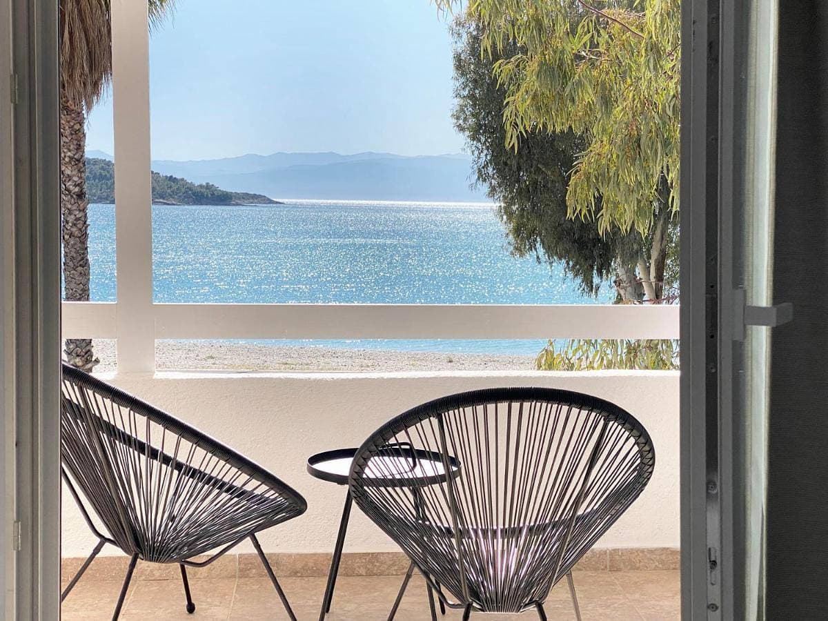 Palm Suite Blue 1