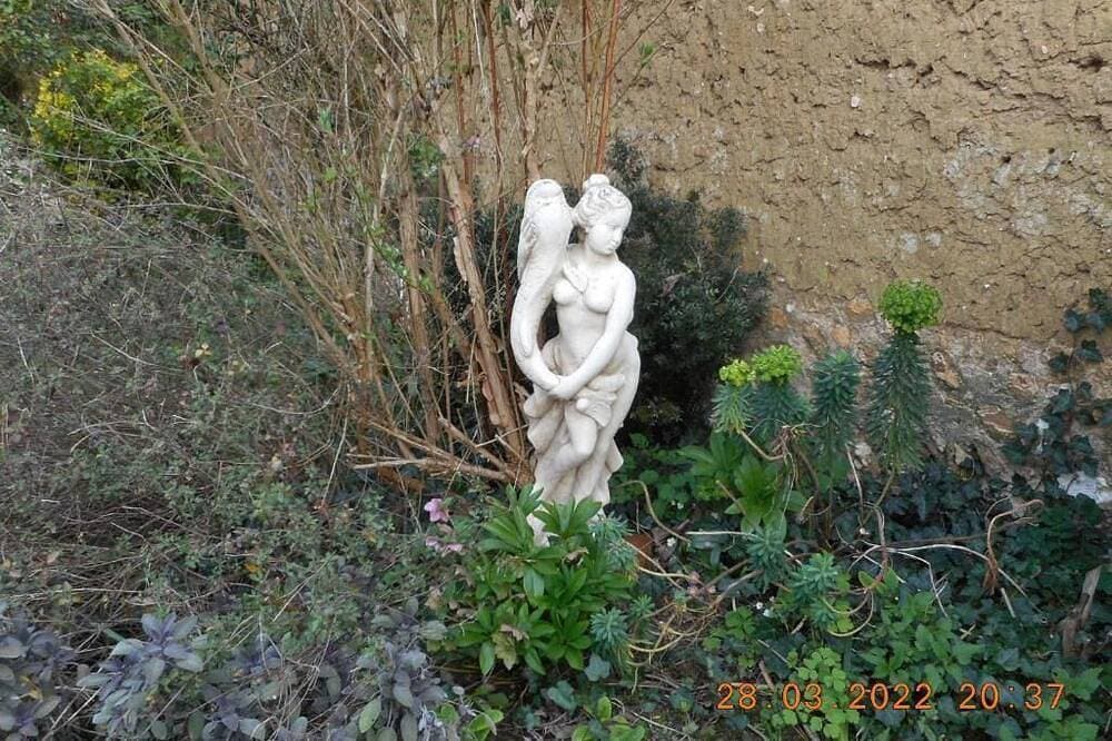 Foto 12 von 30: Le Gîte de Lily 1