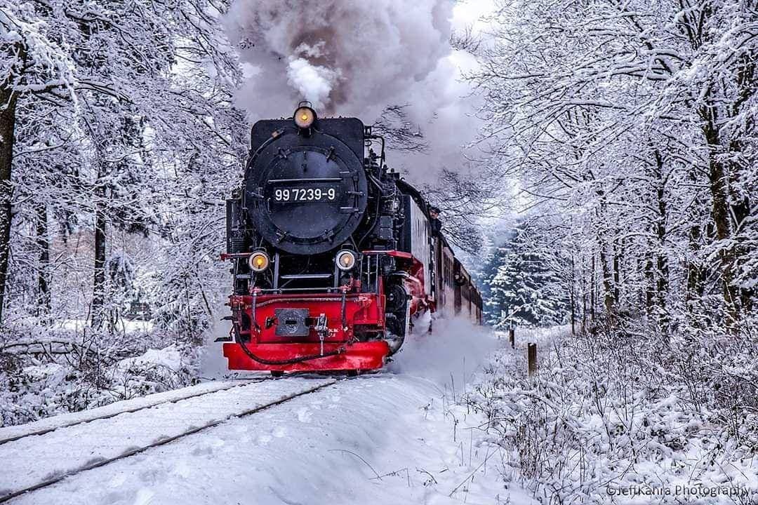 Zur Alten Oberförsterei 1