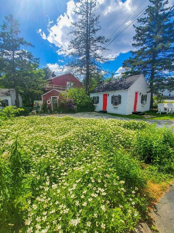 Foto 13 von 22: Open Hearth Inn Cottage 12 - 10 min to Acadia!