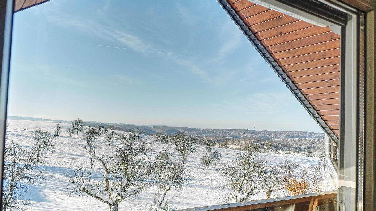 Foto 11 von 31: Einzimmerapartment 'Dinkelberg' mit Bergblick, Balkon und Wi-Fi