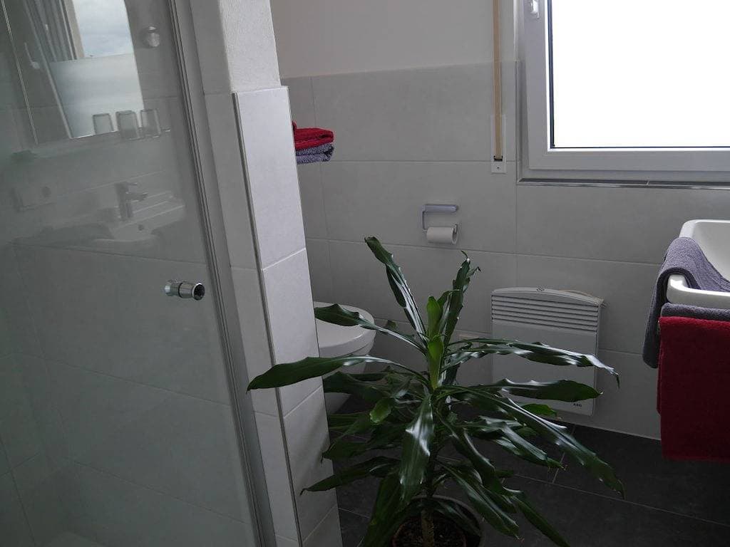 Foto 11 von 29: Spätburgunder im Ferienhaus Lehmättle