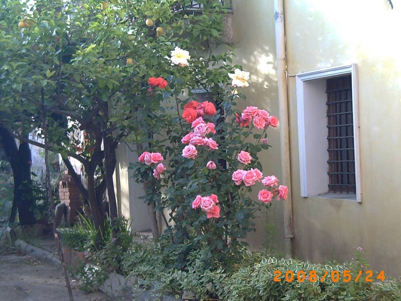 Foto 3 von 17: Haus aus dem 19. Jahrhundert