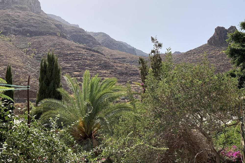 Foto 13 von 23: Helles, freundliches Appartement auf einer Öko-Finca