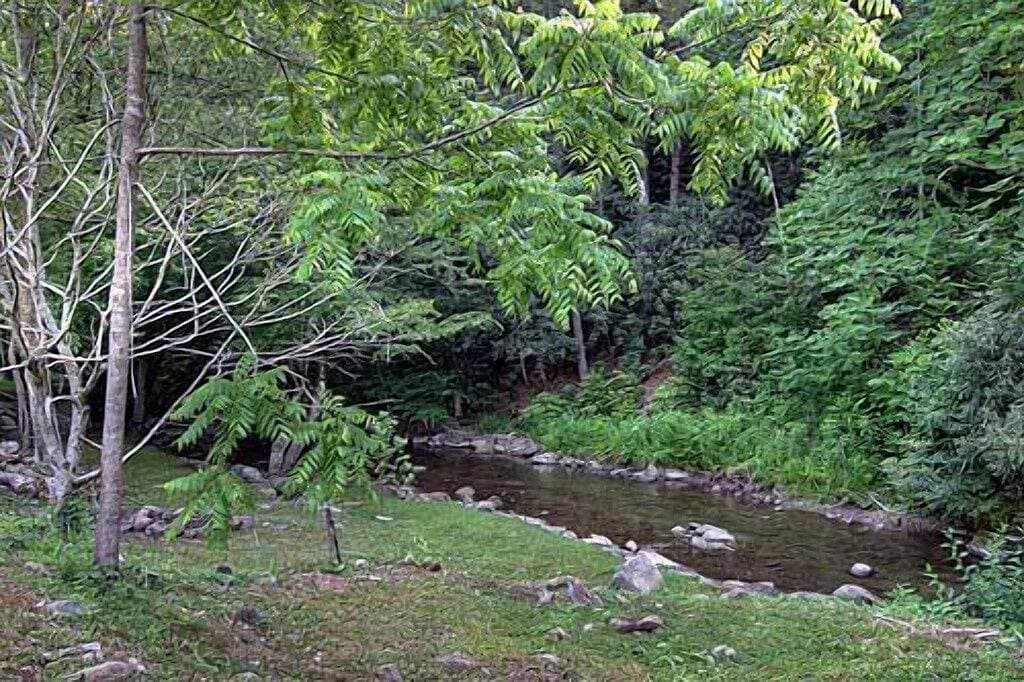 Foto 13 von 16: Cozy Creek: Cozy Cabin with Large Deck Overlooking Mountain Stream