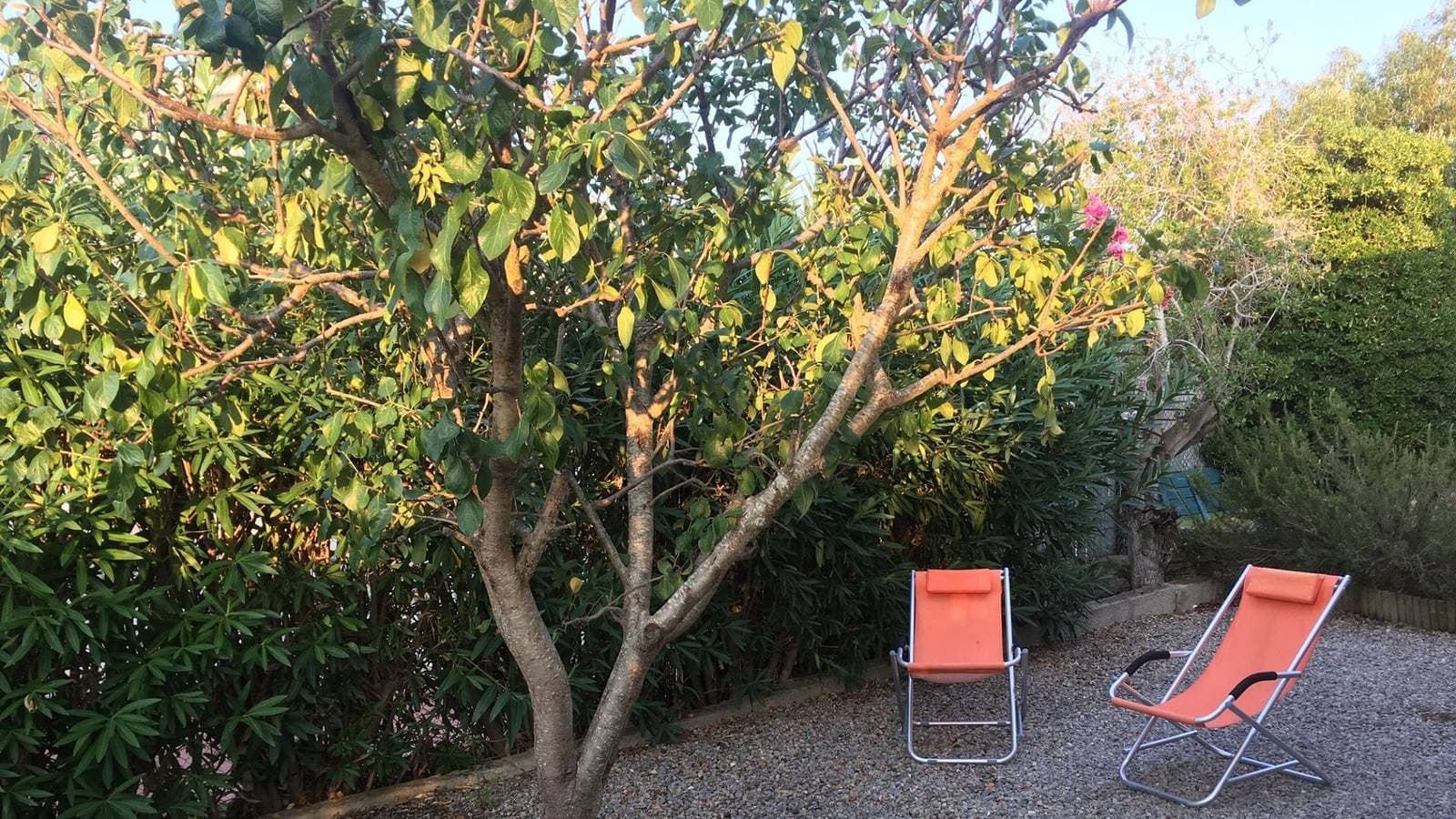 Foto 9 von 23: Ferienwohnung für 5 Personen mit Terrasse