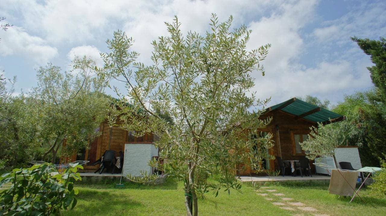 Foto 4 von 27: One-Bedroom Bungalow (2 Adults)