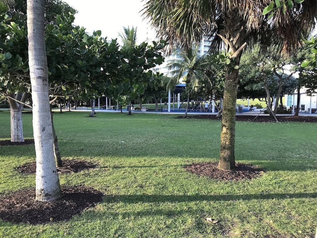 Foto 12 von 47: South Beach Studio Condo am Strand, 335 Ocean Drive, Art-Deco-Bereich-Florida.