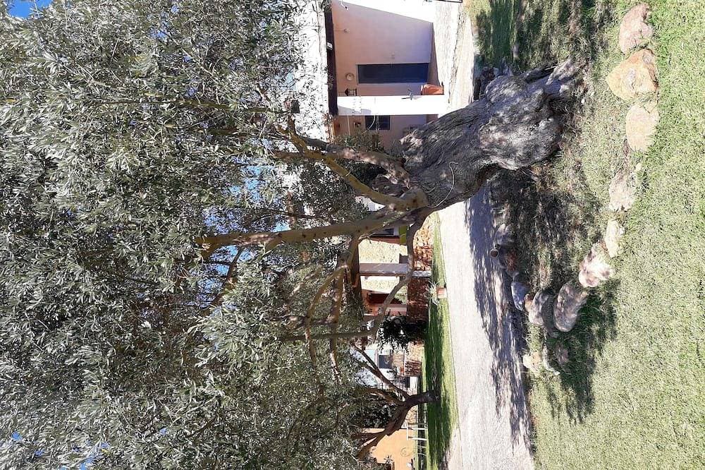 Foto 11 von 29: Finca im zentrum von mallorca mit viel ruhe und schöner aussicht