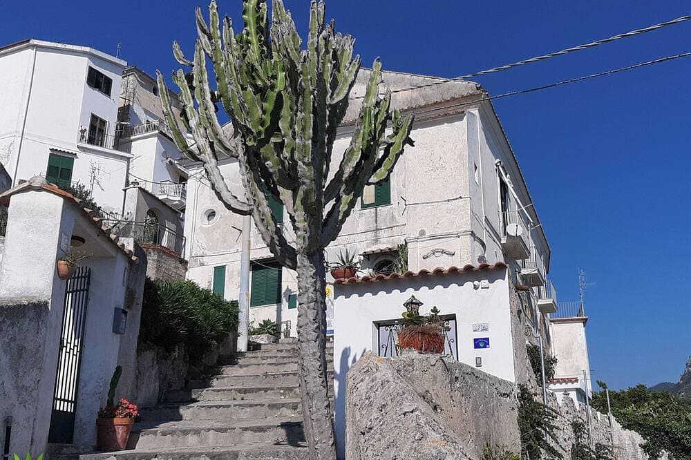 Foto 11 von 30: Villa of the agavi