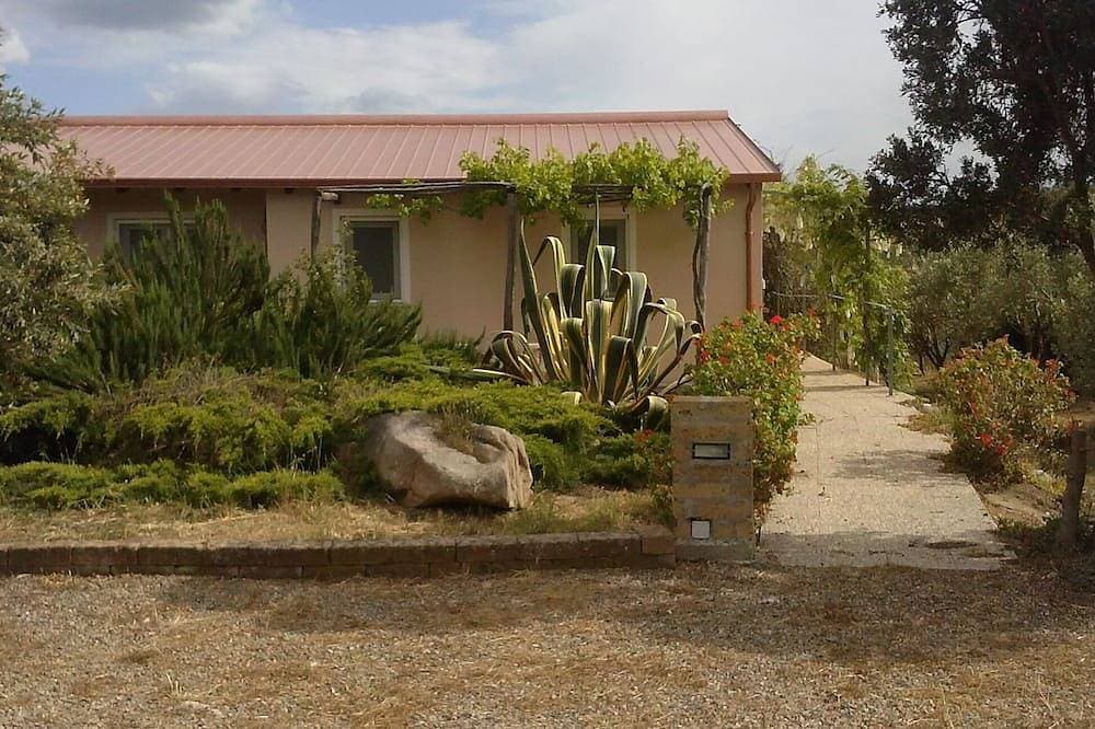 Foto 8 von 30: Ferienhaus mitten in einem Olivenhain und Mittelmeermacchia