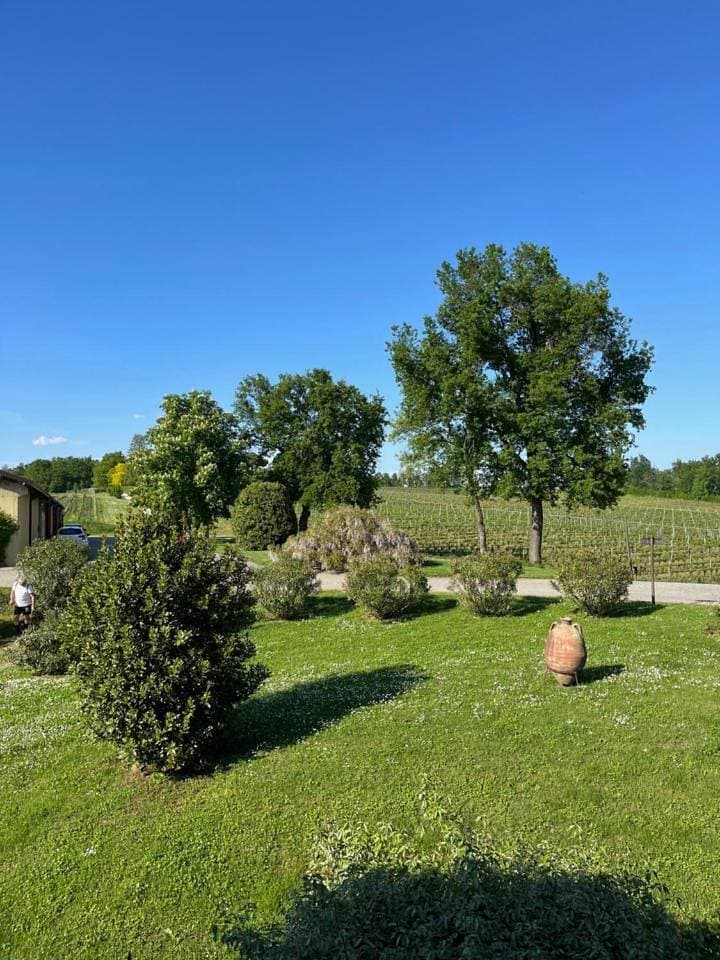 Foto 11 von 53: Deluxe Two-Bedroom Apartment with Garden View