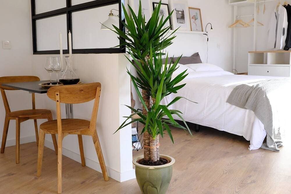 Foto 9 von 30: Apartment-Suite-Ensuite mit Dusche-Stadtblick