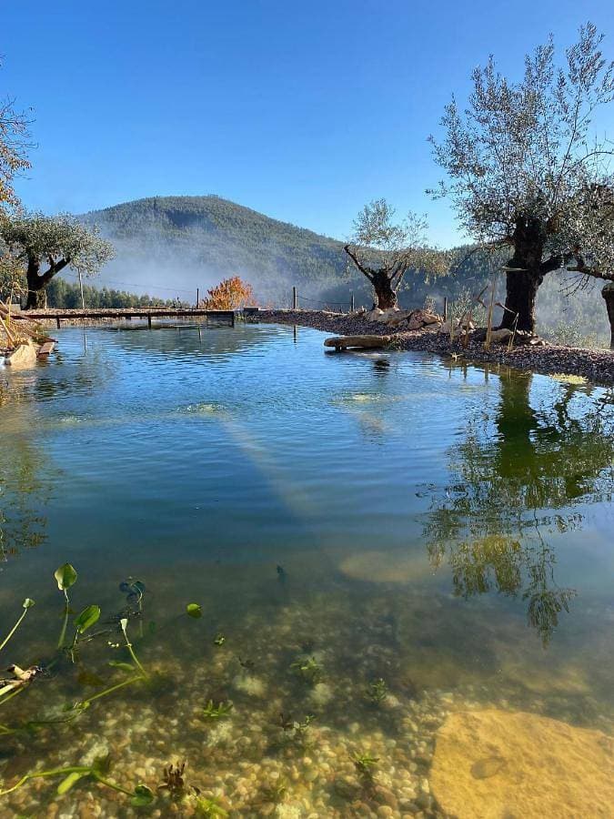 Quinta das Riquezas 1