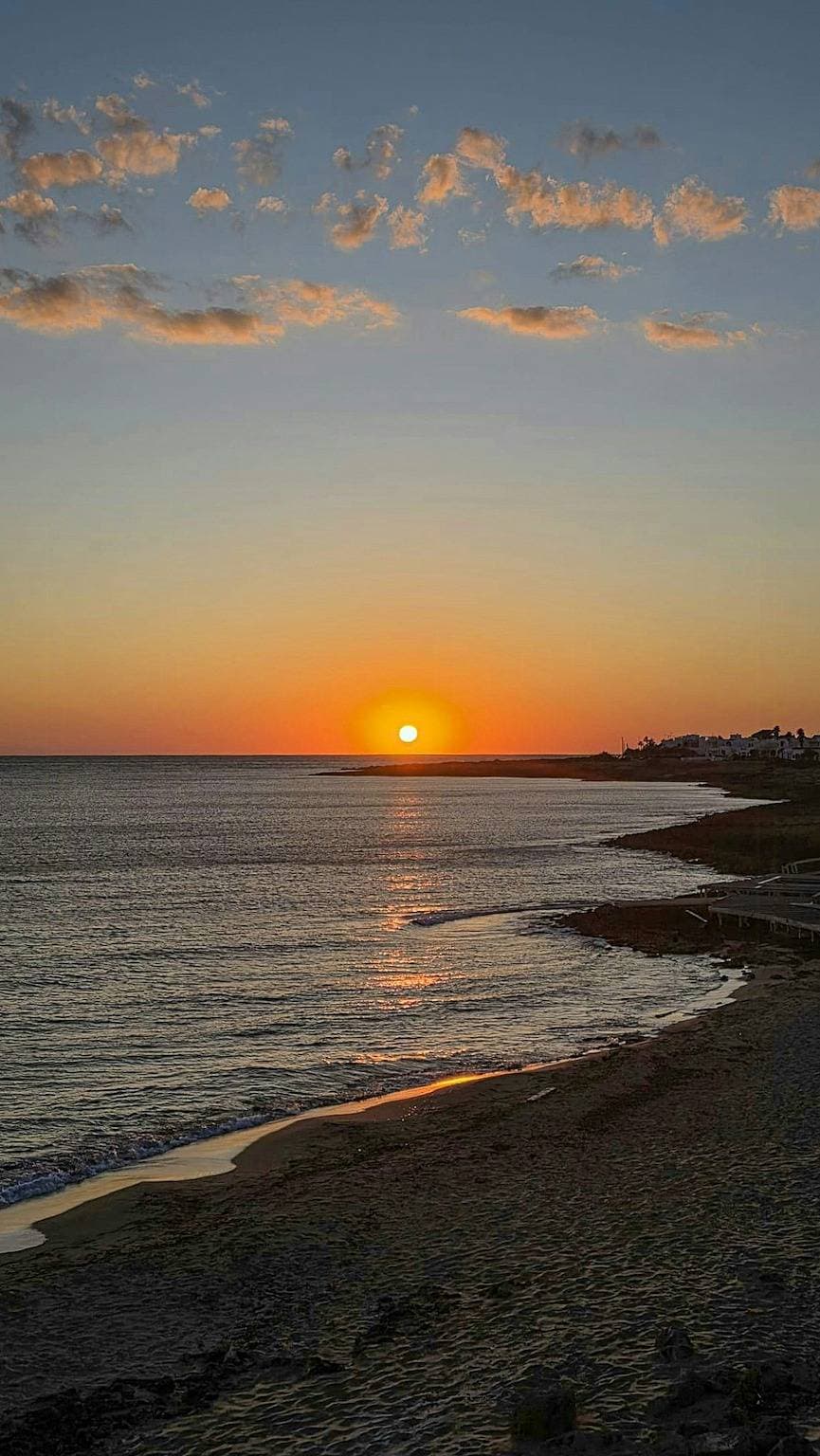 Foto 4 von 32: Terrasse mit Meerblick in Torre San Giovanni