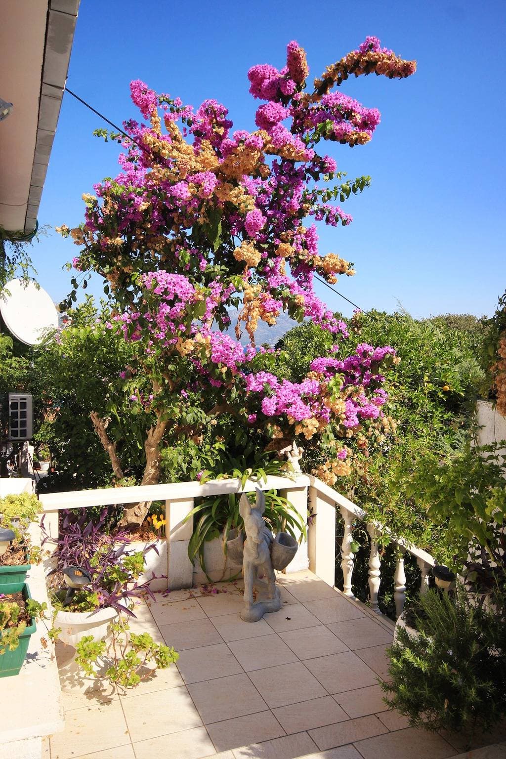 Foto 8 von 19: Studio Appartement am Strand Korcula -a