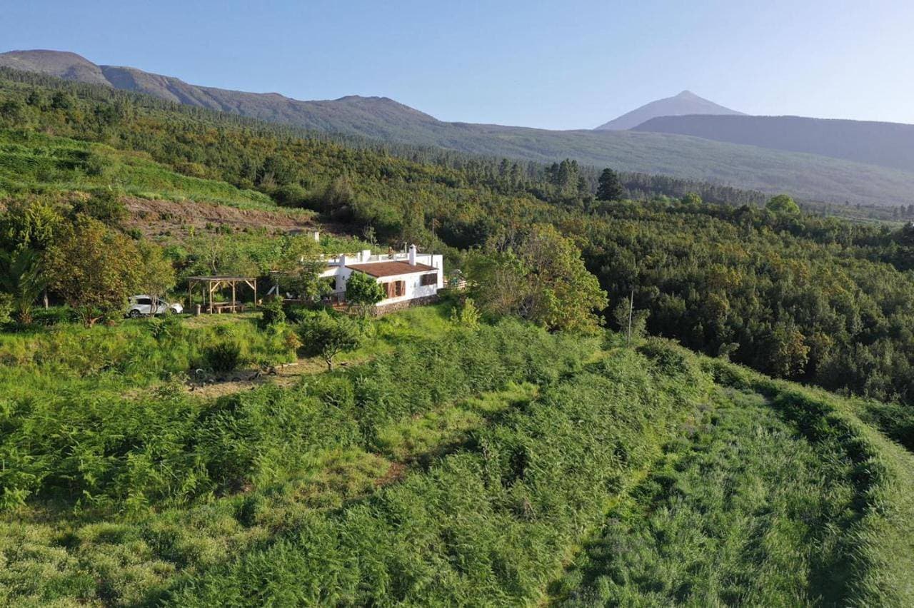 Casa La Jara 1