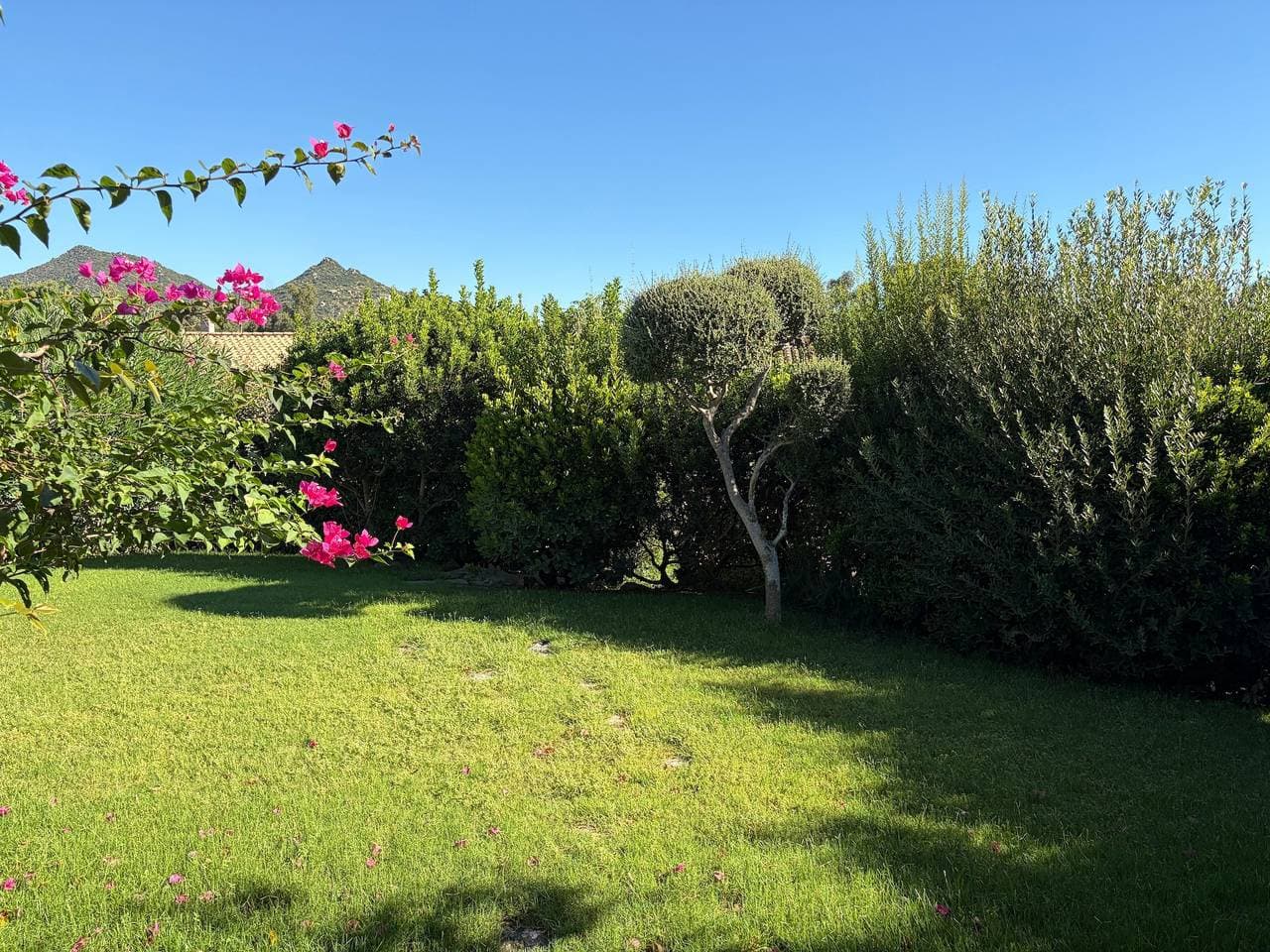 Foto 4 von 28: Villa Bouganville - Ein entspannender Rückzugsort nur einen kurzen Spaziergang vom Strand